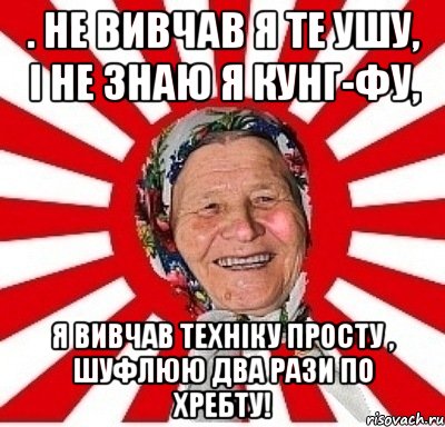 . не вивчав я те ушу, і не знаю я кунг-фу, Я ВИВЧАв техніку просту , шуфлюю два рази по хребту!, Мем  бабуля