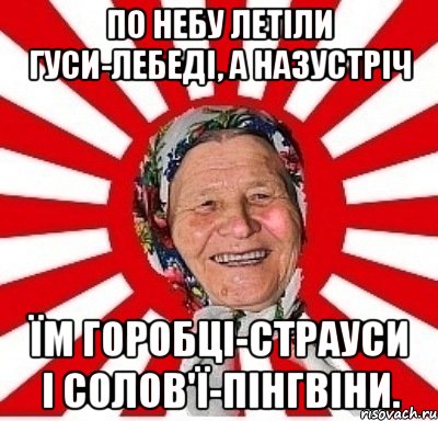 По небу летіли гуси-лебеді, а назустріч їм горобці-страуси і солов'ї-пінгвіни., Мем  бабуля