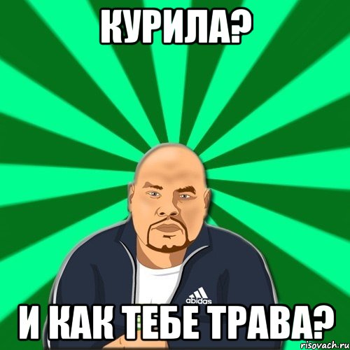 курила? и как тебе трава?