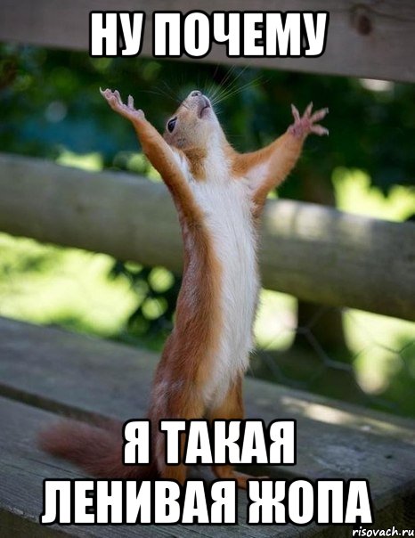 ну почему я такая ленивая жопа