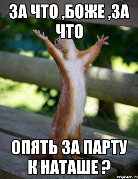 За что ,боже ,за что Опять за парту к Наташе ?