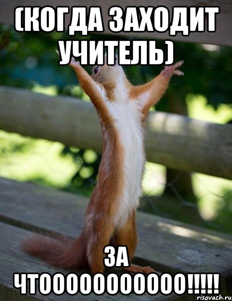 (Когда заходит учитель) ЗА ЧТООООООООООО!!!!!