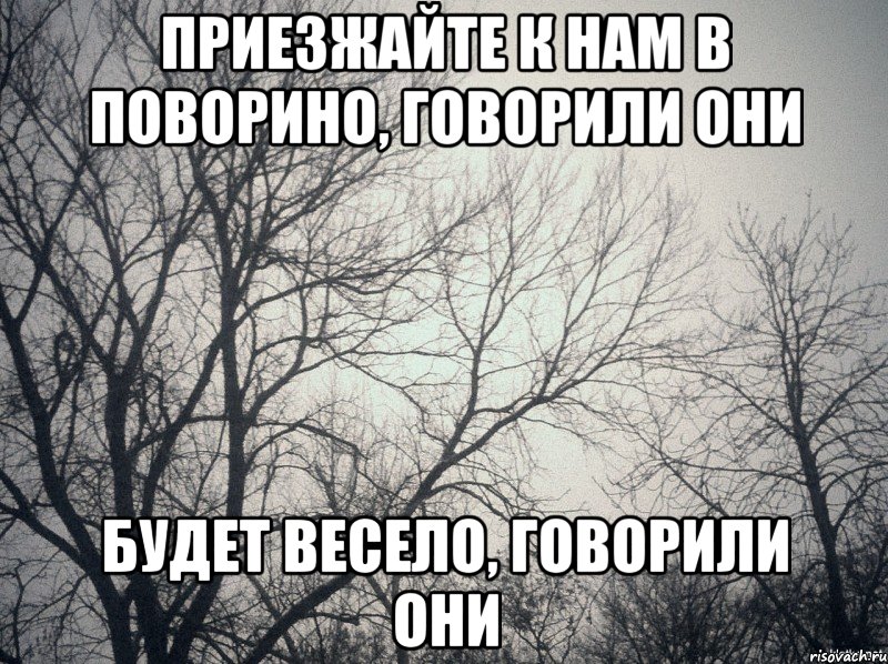 Приезжайте к нам в Поворино, говорили они будет весело, говорили они, Мем  будет весело говорили они