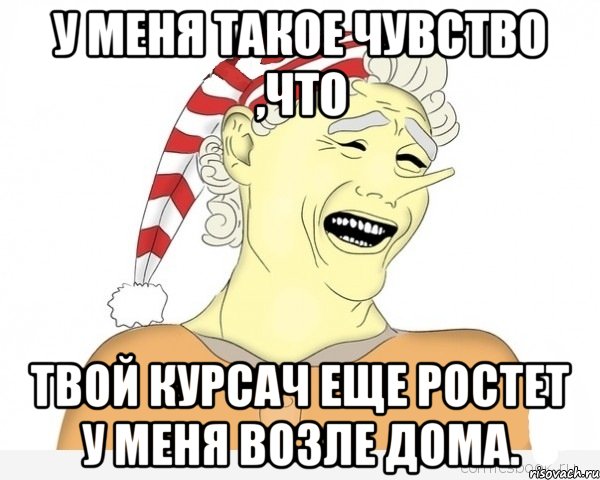 У меня такое чувство ,что Твой курсач еще ростет у меня возле дома., Мем буратино