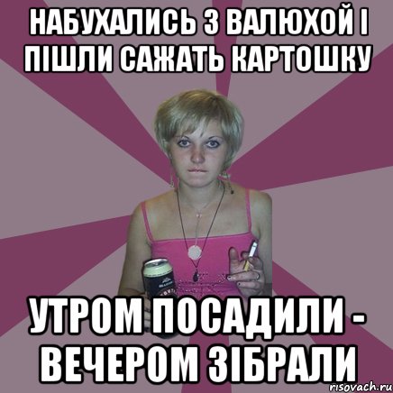 набухались з валюхой і пішли сажать картошку утром посадили - вечером зібрали, Мем Чотка мала