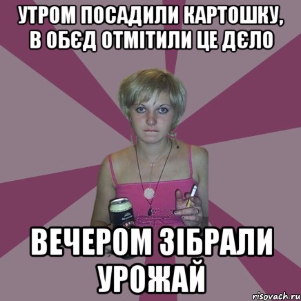 утром посадили картошку, в обєд отмітили це дєло вечером зібрали урожай, Мем Чотка мала