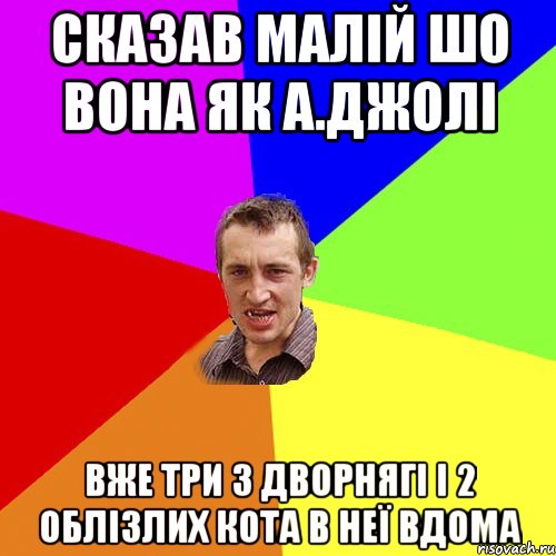 Сказав малій шо вона як А.Джолі Вже три 3 дворнягі і 2 облізлих кота в неї вдома, Мем Чоткий паца