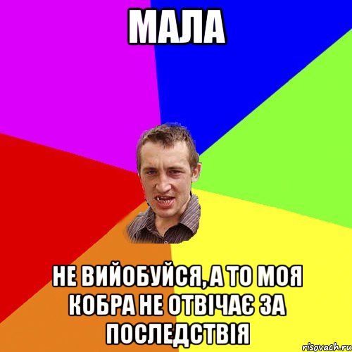 Мала не вийобуйся, а то моя кобра не отвічає за последствія, Мем Чоткий паца