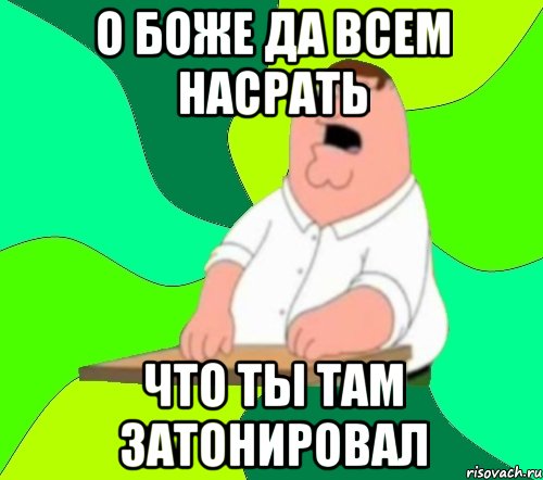 О Боже да всем насрать Что ты там затонировал, Мем  Да всем насрать (Гриффин)