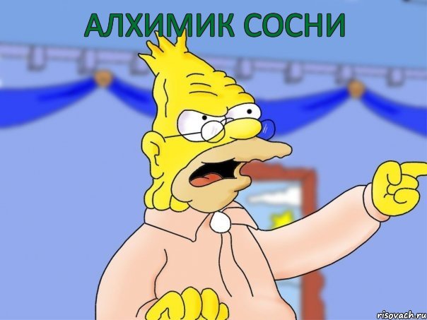 алхимик сосни