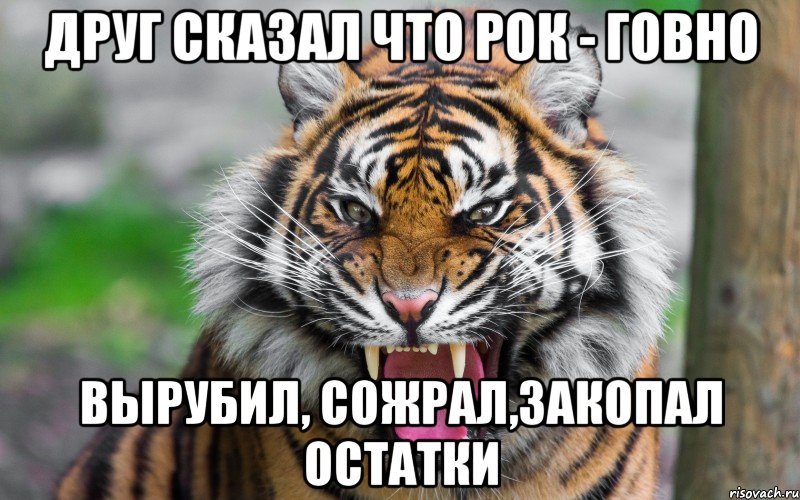 друг сказал что рок - говно вырубил, сожрал,закопал остатки, Мем ДЕРЗКИЙ ТИГР