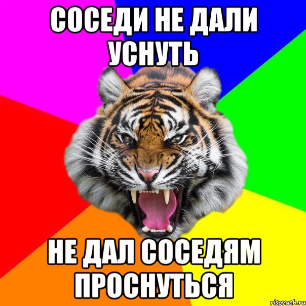 соседи не дали уснуть не дал соседям проснуться, Мем  ДЕРЗКИЙ ТИГР