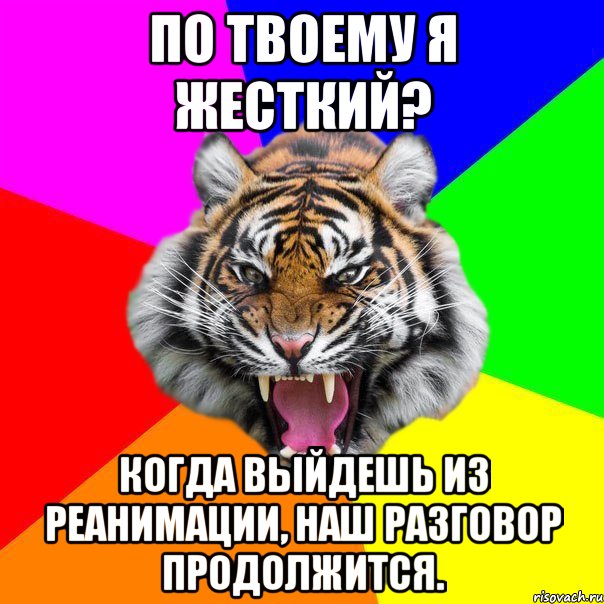 по твоему я жесткий? когда выйдешь из реанимации, наш разговор продолжится., Мем  ДЕРЗКИЙ ТИГР