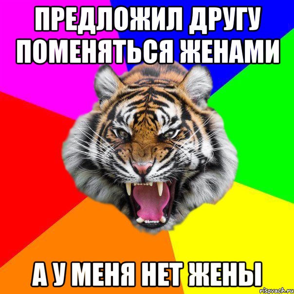 предложил другу поменяться женами а у меня нет жены, Мем  ДЕРЗКИЙ ТИГР