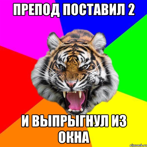 Препод поставил 2 И выпрыгнул из окна, Мем  ДЕРЗКИЙ ТИГР