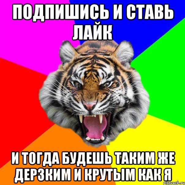 подпишись и ставь лайк и тогда будешь таким же дерзким и крутым как я, Мем  ДЕРЗКИЙ ТИГР