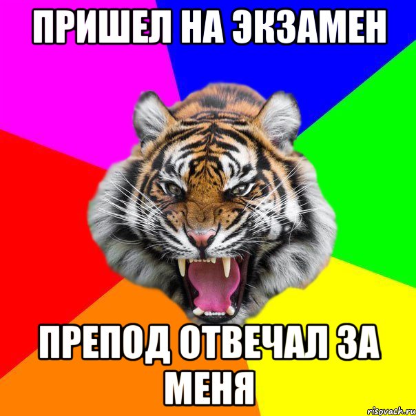 пришел на экзамен препод отвечал за меня, Мем  ДЕРЗКИЙ ТИГР