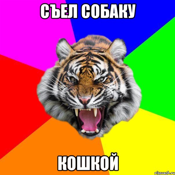 Съел собаку Кошкой