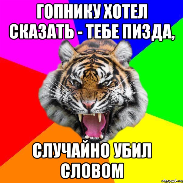 гопнику хотел сказать - тебе пизда, случайно убил словом, Мем  ДЕРЗКИЙ ТИГР