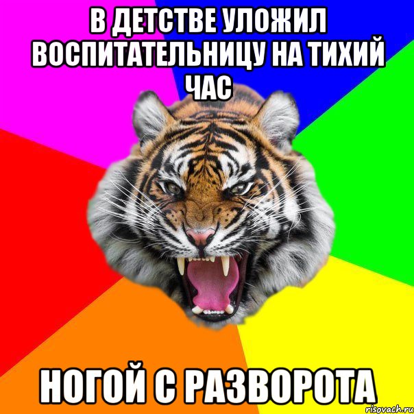 в детстве уложил воспитательницу на тихий час ногой с разворота, Мем  ДЕРЗКИЙ ТИГР