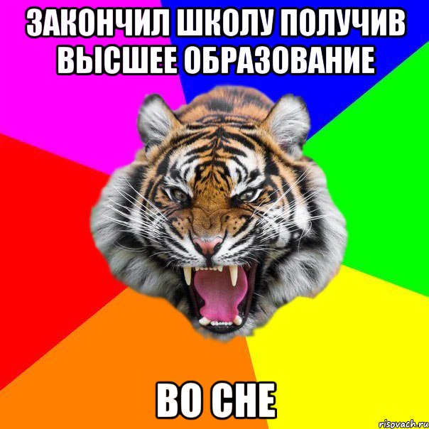 Закончил школу получив высшее образование Во сне, Мем  ДЕРЗКИЙ ТИГР