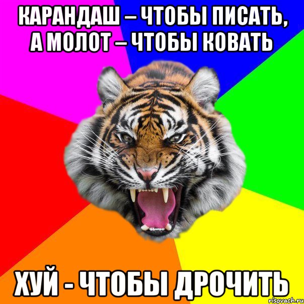 Карандаш – чтобы писать, а молот – чтобы ковать Хуй - чтобы дрочить, Мем  ДЕРЗКИЙ ТИГР