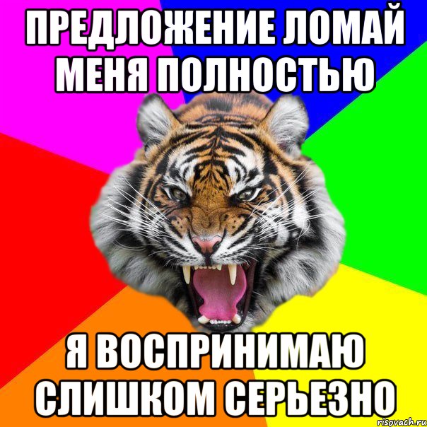 предложение ломай меня полностью я воспринимаю слишком серьезно, Мем  ДЕРЗКИЙ ТИГР