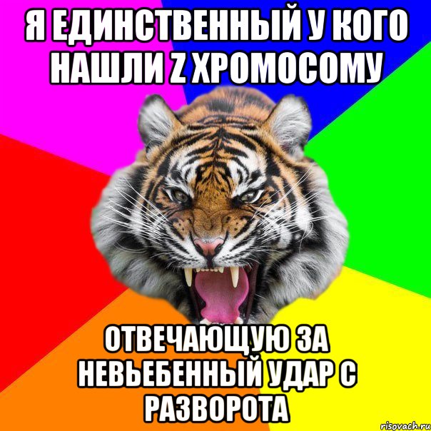 я единственный у кого нашли z хромосому отвечающую за невьебенный удар с разворота, Мем  ДЕРЗКИЙ ТИГР