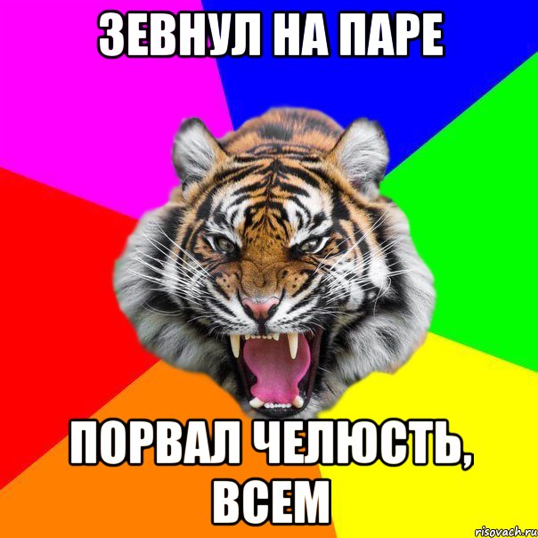 Зевнул на паре порвал челюсть, ВСЕМ, Мем  ДЕРЗКИЙ ТИГР