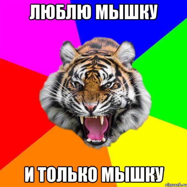 Люблю Мышку И только Мышку