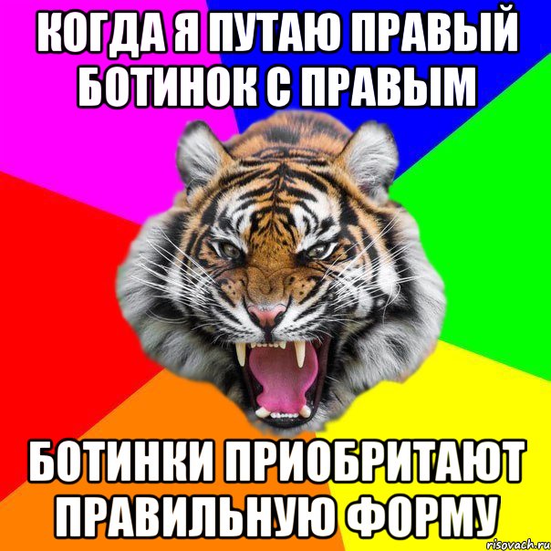 когда я путаю правый ботинок с правым ботинки приобритают правильную форму, Мем  ДЕРЗКИЙ ТИГР