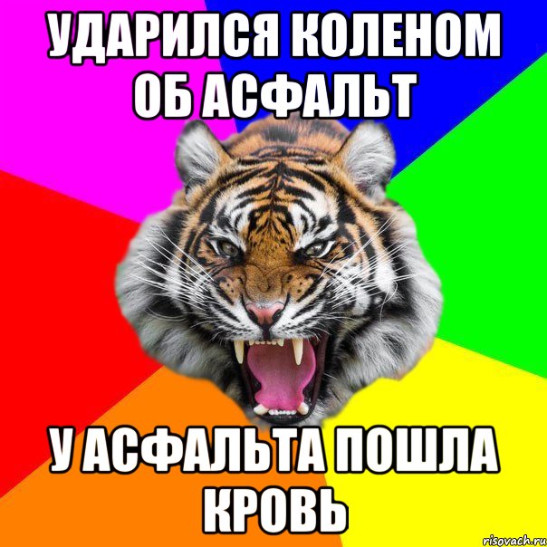 ударился коленом об асфальт у асфальта пошла кровь, Мем  ДЕРЗКИЙ ТИГР