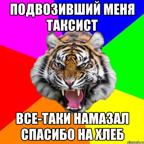 подвозивший меня таксист все-таки намазал спасибо на хлеб, Мем  ДЕРЗКИЙ ТИГР