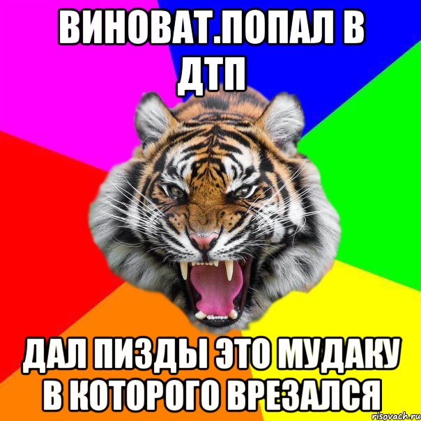 виноват.попал в дтп дал пизды это мудаку в которого врезался, Мем  ДЕРЗКИЙ ТИГР