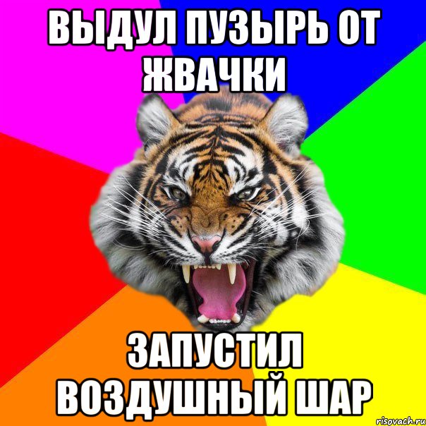 Выдул пузырь от жвачки Запустил воздушный шар, Мем  ДЕРЗКИЙ ТИГР