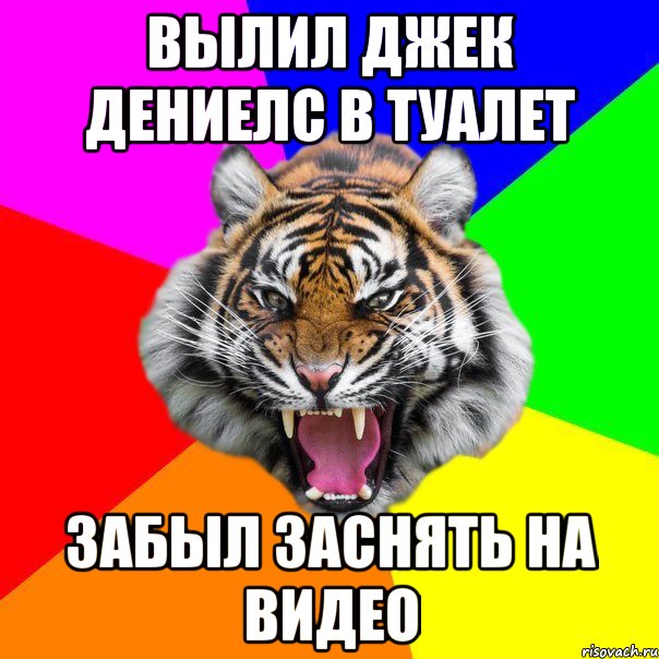 вылил джек дениелс в туалет забыл заснять на видео