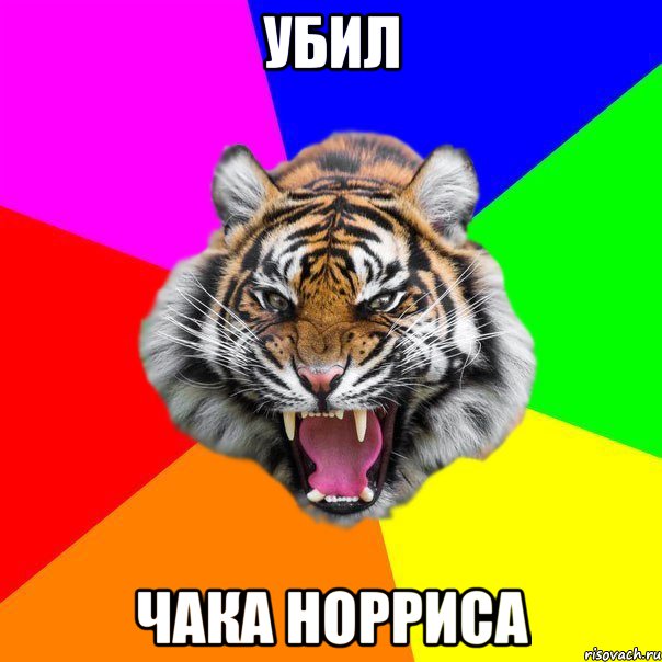 убил чака норриса