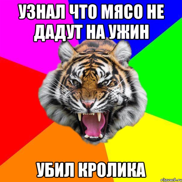 Узнал что мясо не дадут на ужин убил кролика, Мем  ДЕРЗКИЙ ТИГР