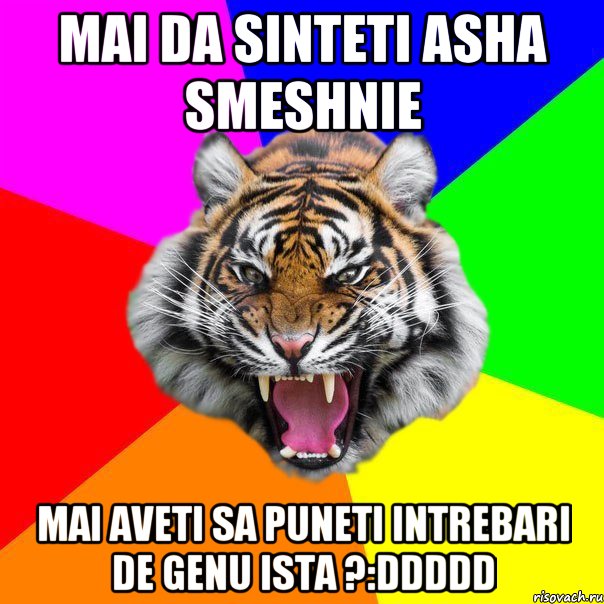 Mai da sinteti asha smeshnie Mai aveti sa puneti intrebari de genu ista ?:DDDDD, Мем  ДЕРЗКИЙ ТИГР