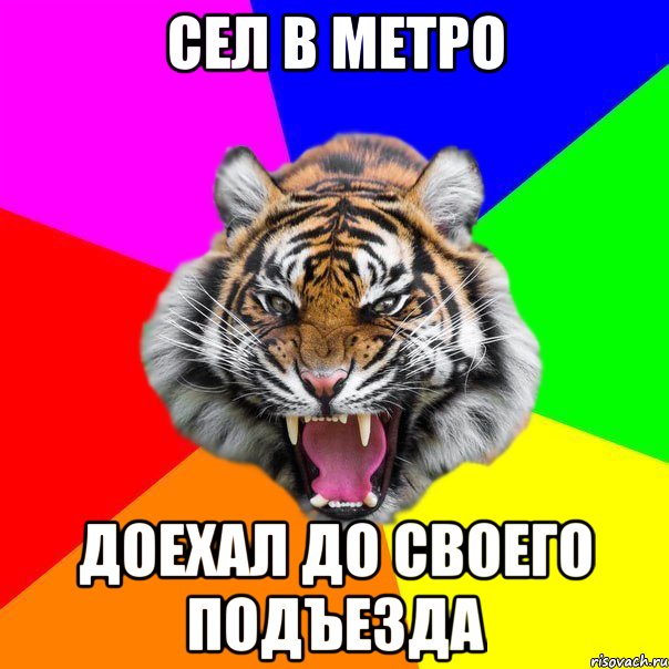 сел в метро доехал до своего подъезда, Мем  ДЕРЗКИЙ ТИГР