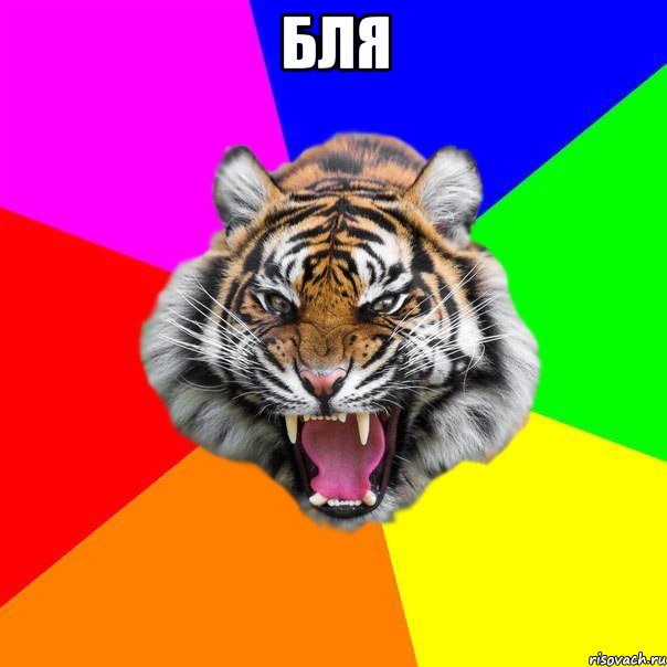 бля 