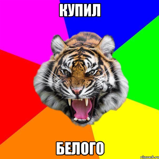 купил белого