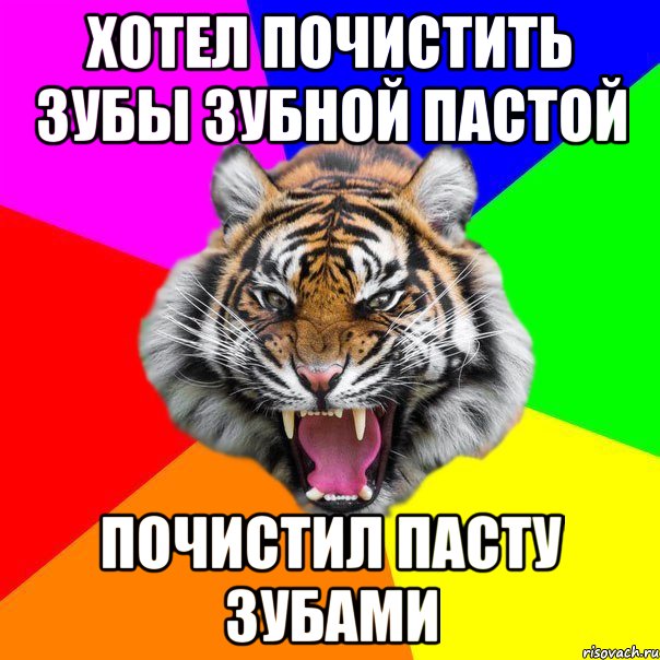 хотел почистить зубы зубной пастой почистил пасту зубами, Мем  ДЕРЗКИЙ ТИГР