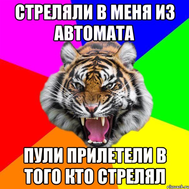 Стреляли в меня из автомата пули прилетели в того кто стрелял, Мем  ДЕРЗКИЙ ТИГР