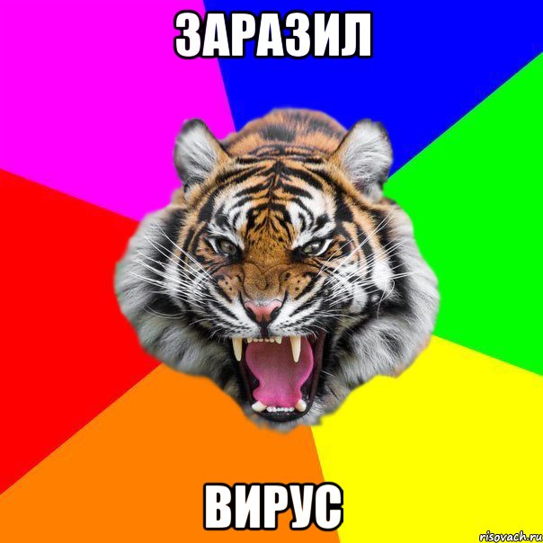 заразил вирус