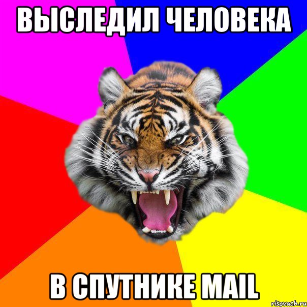 ВЫСЛЕДИЛ ЧЕЛОВЕКА В СПУТНИКЕ MAIL, Мем  ДЕРЗКИЙ ТИГР