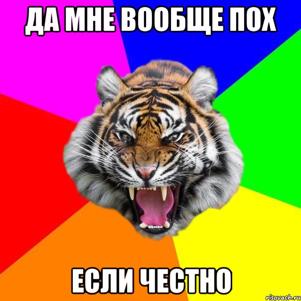 Да мне вообще пох если честно