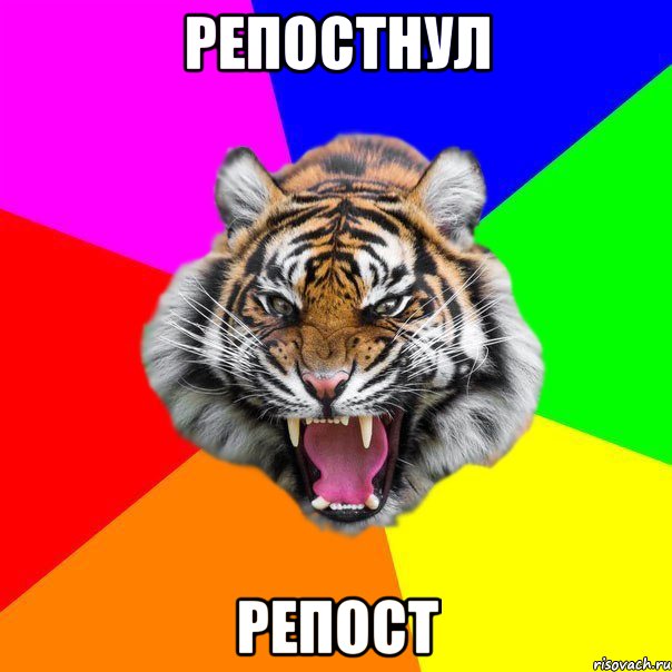 репостнул репост