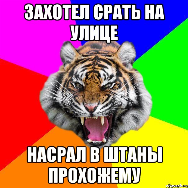 захотел срать на улице насрал в штаны прохожему