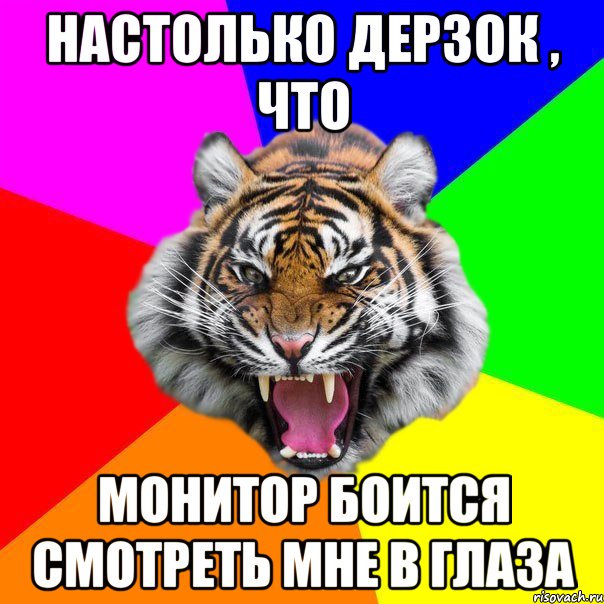 настолько дерзок , что монитор боится смотреть мне в глаза, Мем  ДЕРЗКИЙ ТИГР